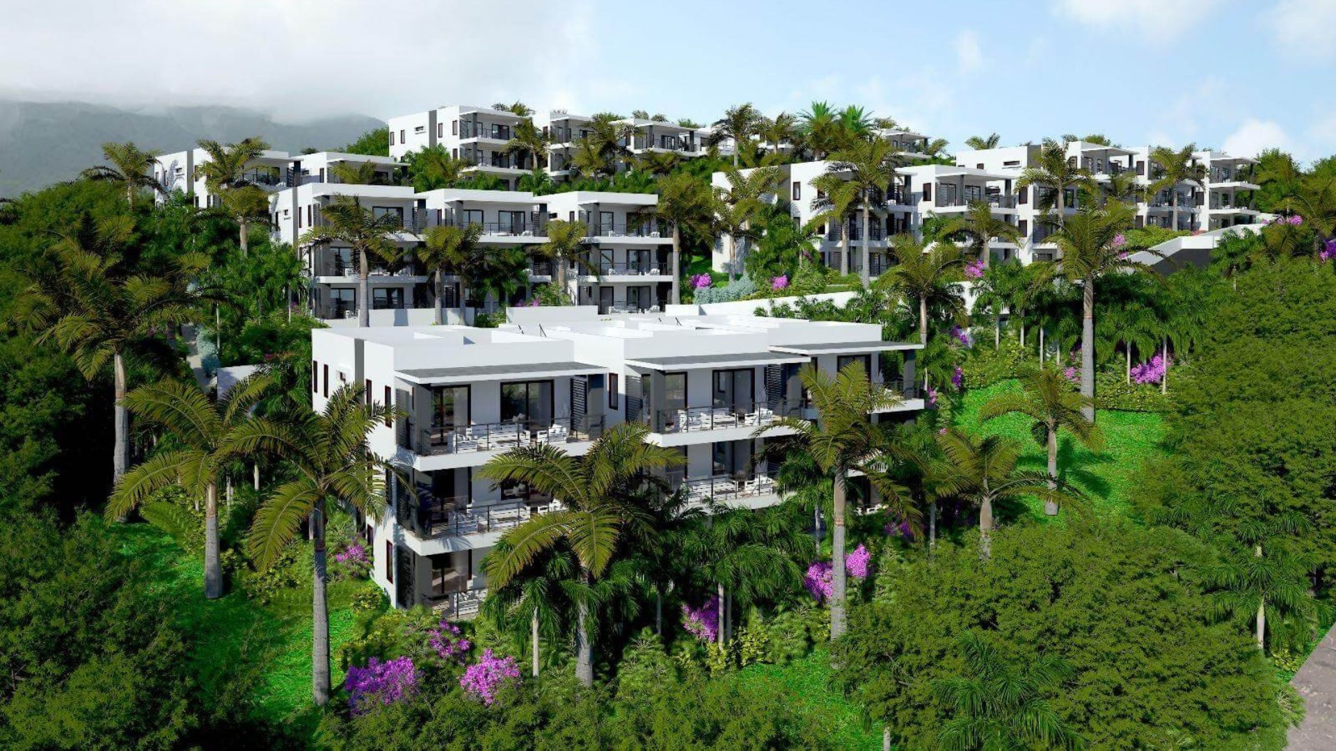 Diseño sin título (13)